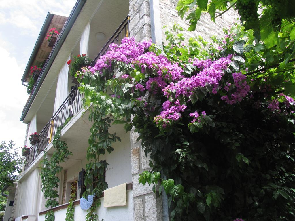 B&B Damian krevet i doručak